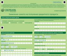 Анкета на потребительский кредит в Сбербанк: подробная инструкция Бланк заявки на ипотеку в сбербанке